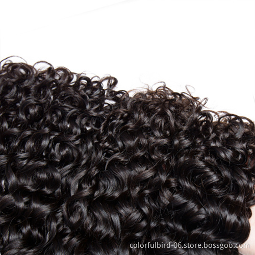 Free Sample Malaysian 100% Virgin Hair Water Wave Double Drawn Human Hair Bundles water Wave Bundles Brazilian Human Hair